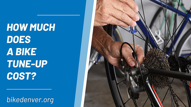 how much does a bike tune up cost